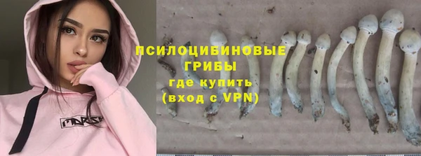прущая мука Богородск