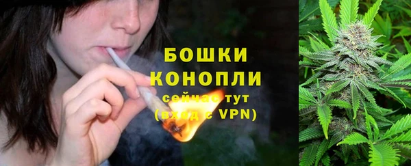 прущая мука Богданович